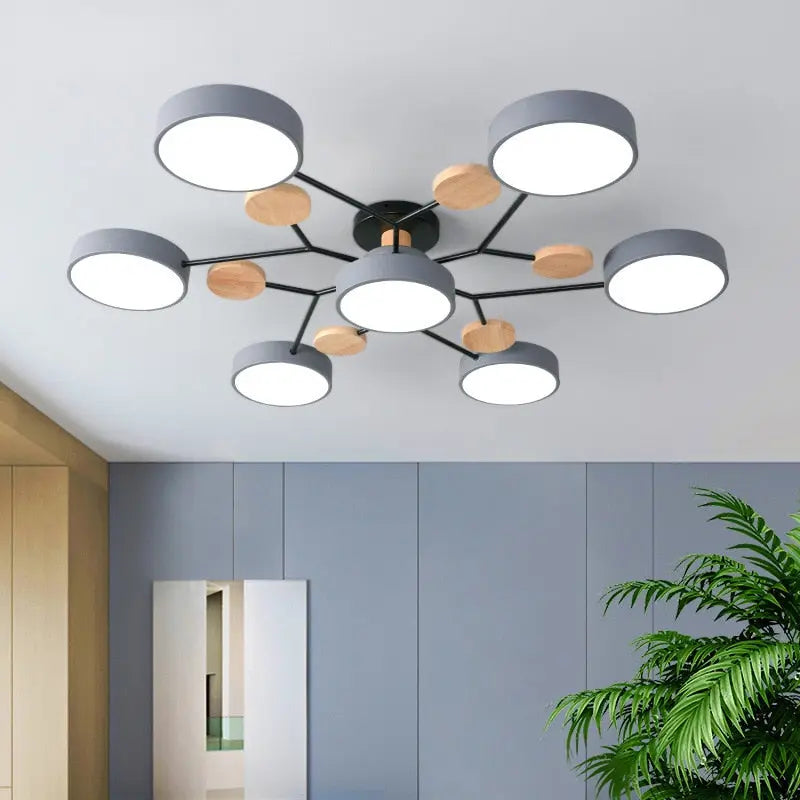 Eileen Living Room Ceiling Lights  Seus Lighting